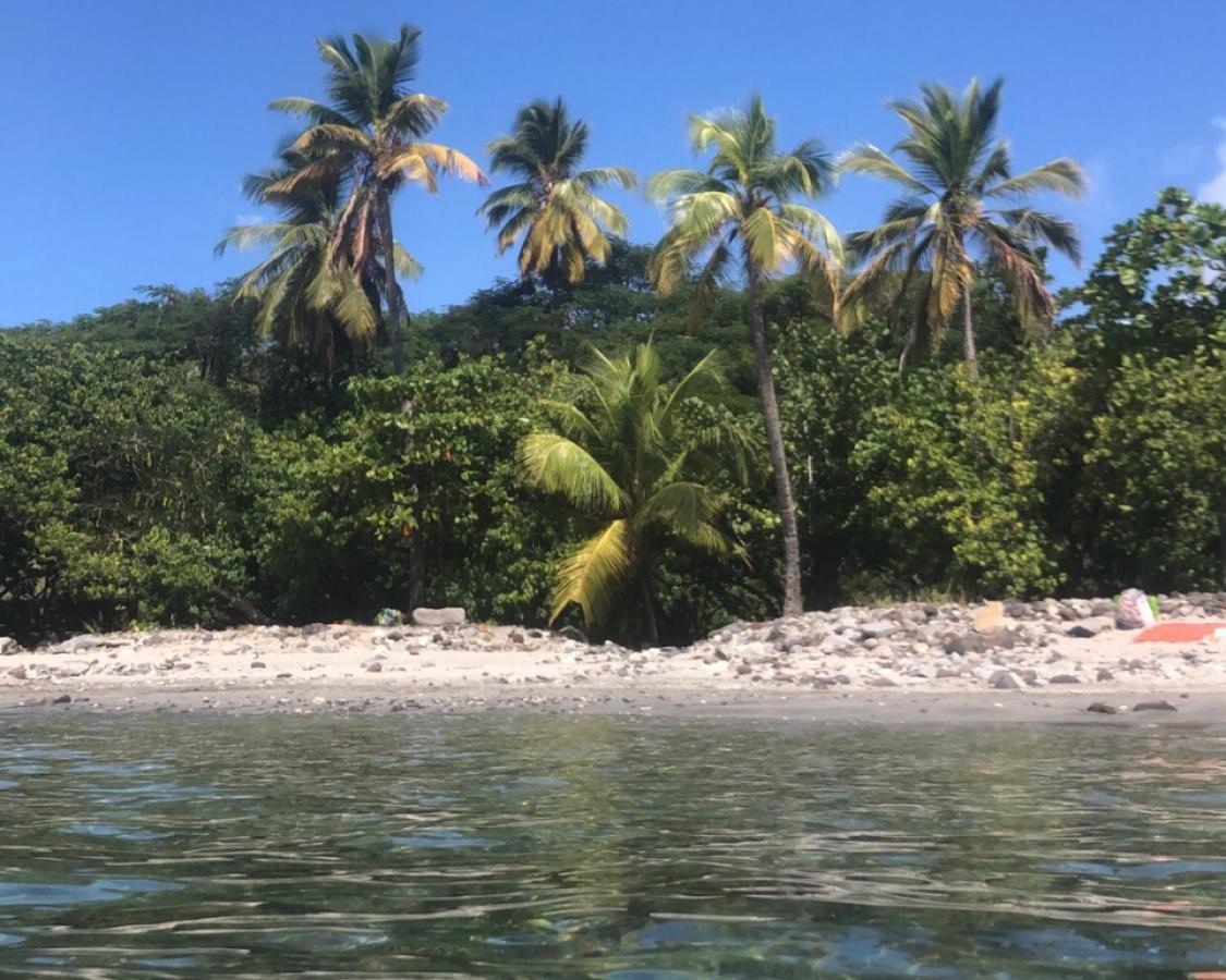 Location Gite Bungalow A 70M De La Plage Bouillante Exterior foto