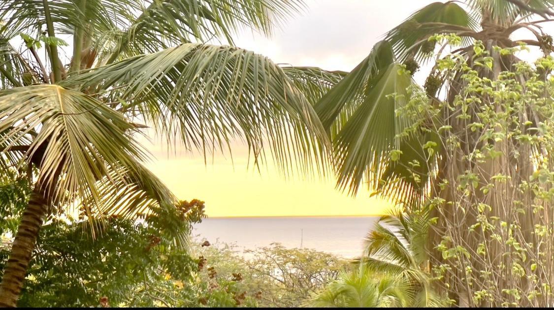 Location Gite Bungalow A 70M De La Plage Bouillante Exterior foto